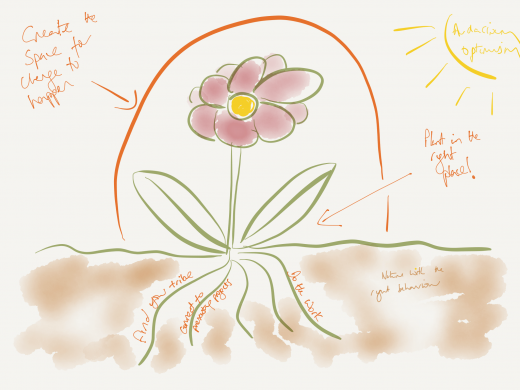 Week notes 11th June 2018