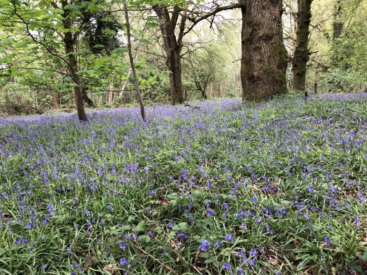 Week notes 20th April