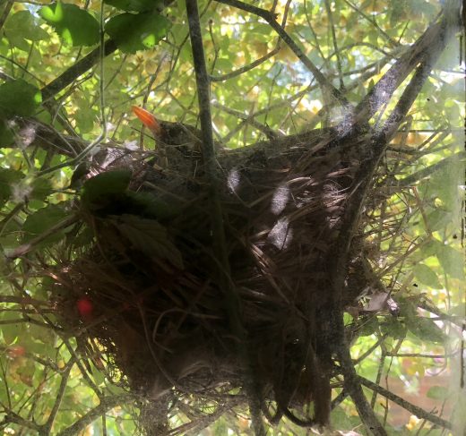 Week notes 14th May 2018