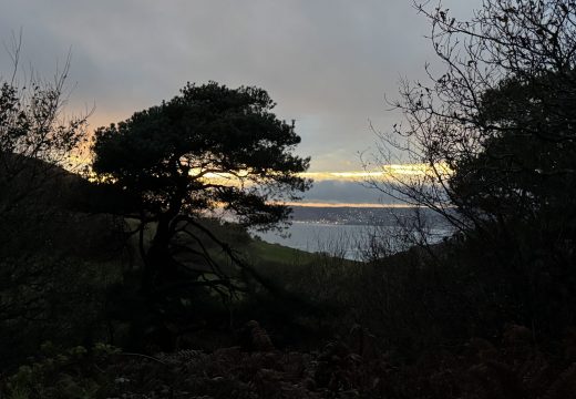 Teach a person how to fish…