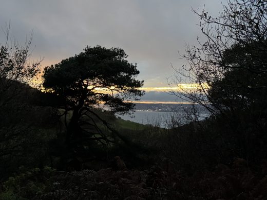 Teach a person how to fish…