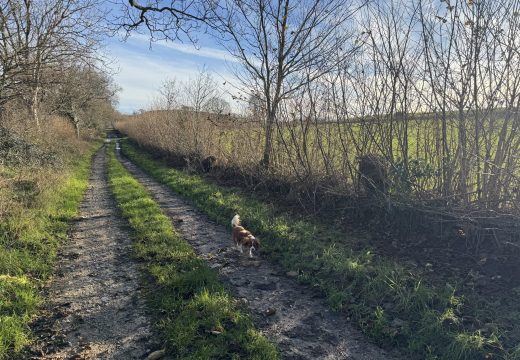 We need new feedback loops